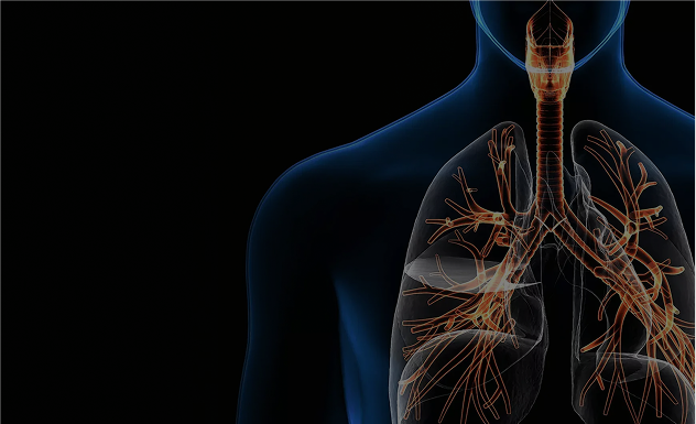 Respiratory Conditions visualization
